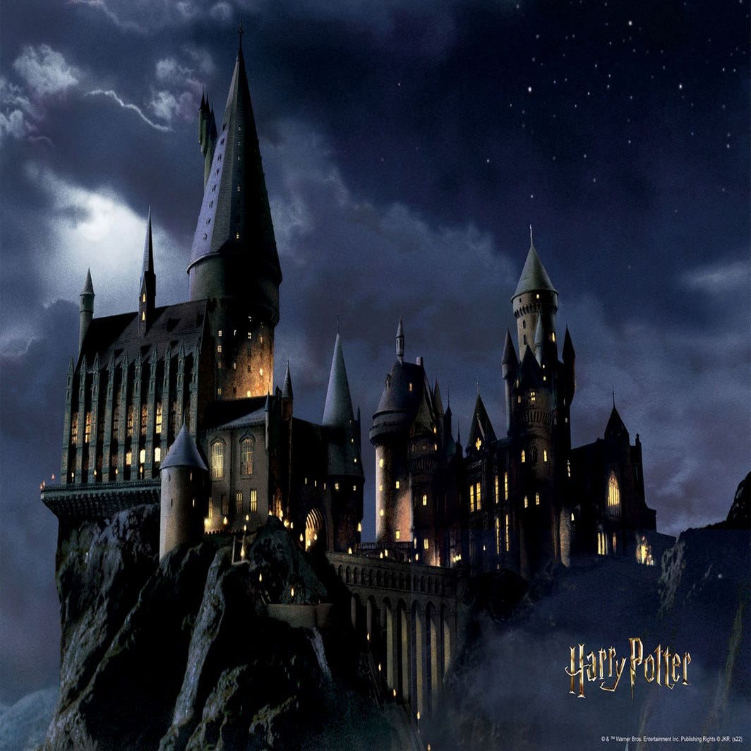 Poster Harry Potter Hogwarts nero e blu scuro - 1.1 x 1.55 m - Sanders &  Sanders