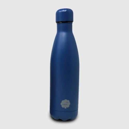 Esbit DB550PC-S Borraccia Pictor In Acciaio Inox 0,75L, Senza BPA, Con Chiusura A Moschettone, Argento E Blu