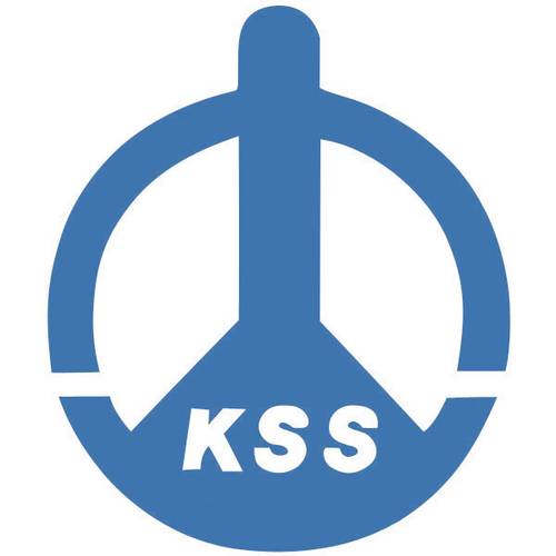 KSS 28530c1288 Collier réutilisable 150 mm 2.90 mm rouge 100 pc(s