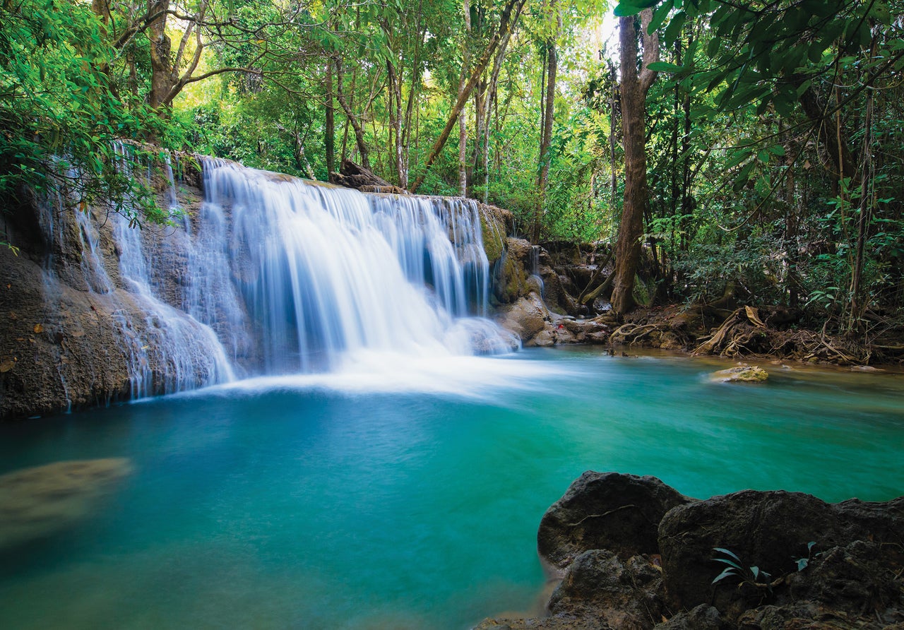 Carta Da Parati Cascata Paesaggio Effetto 3D Foresta 254x184 cm - Include  Colla - Moderna Soggiorno Camera Fotomurali In Tessuto Non Tessuto TNT