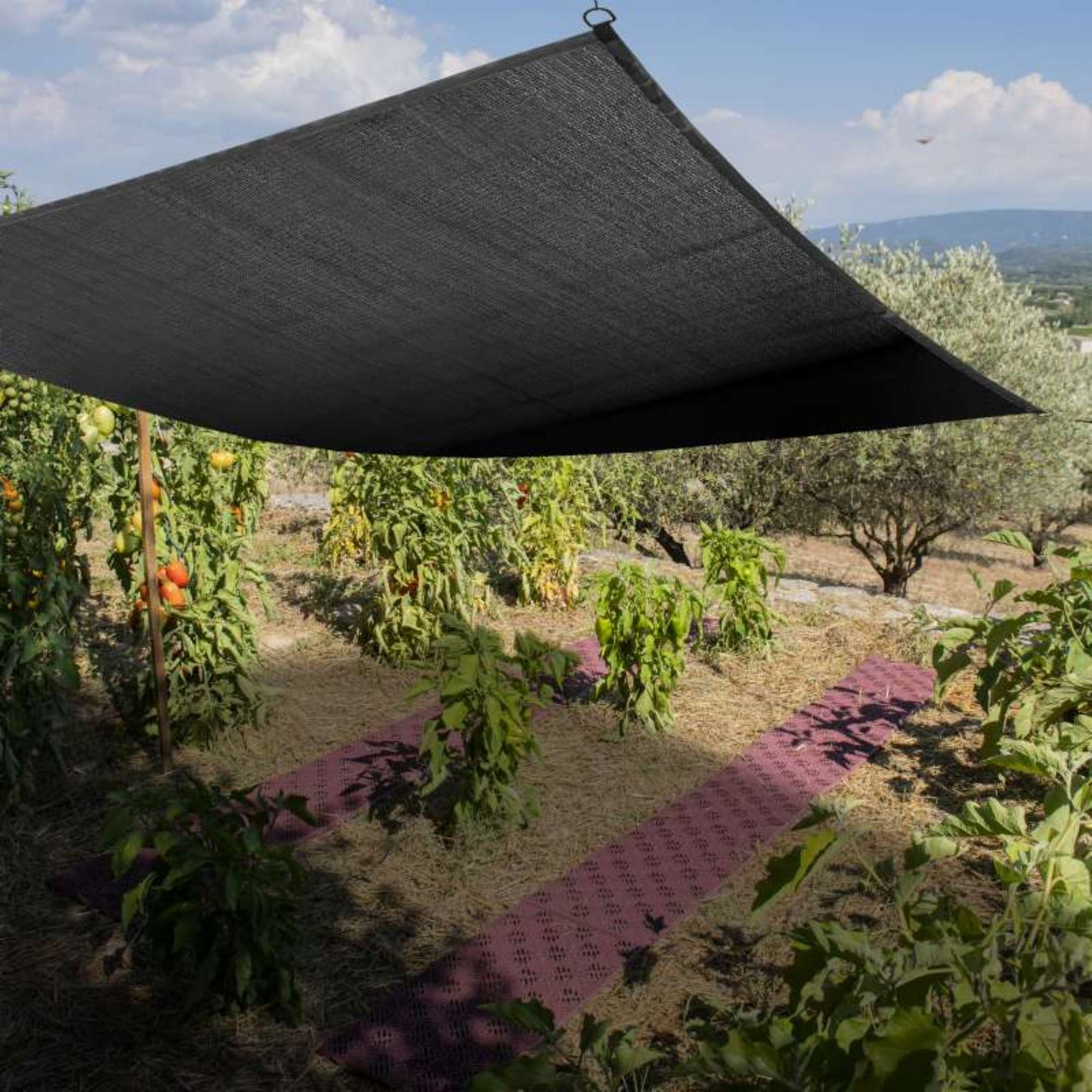 Serre de jardin housse transparente 3 niveaux - Provence Outillage