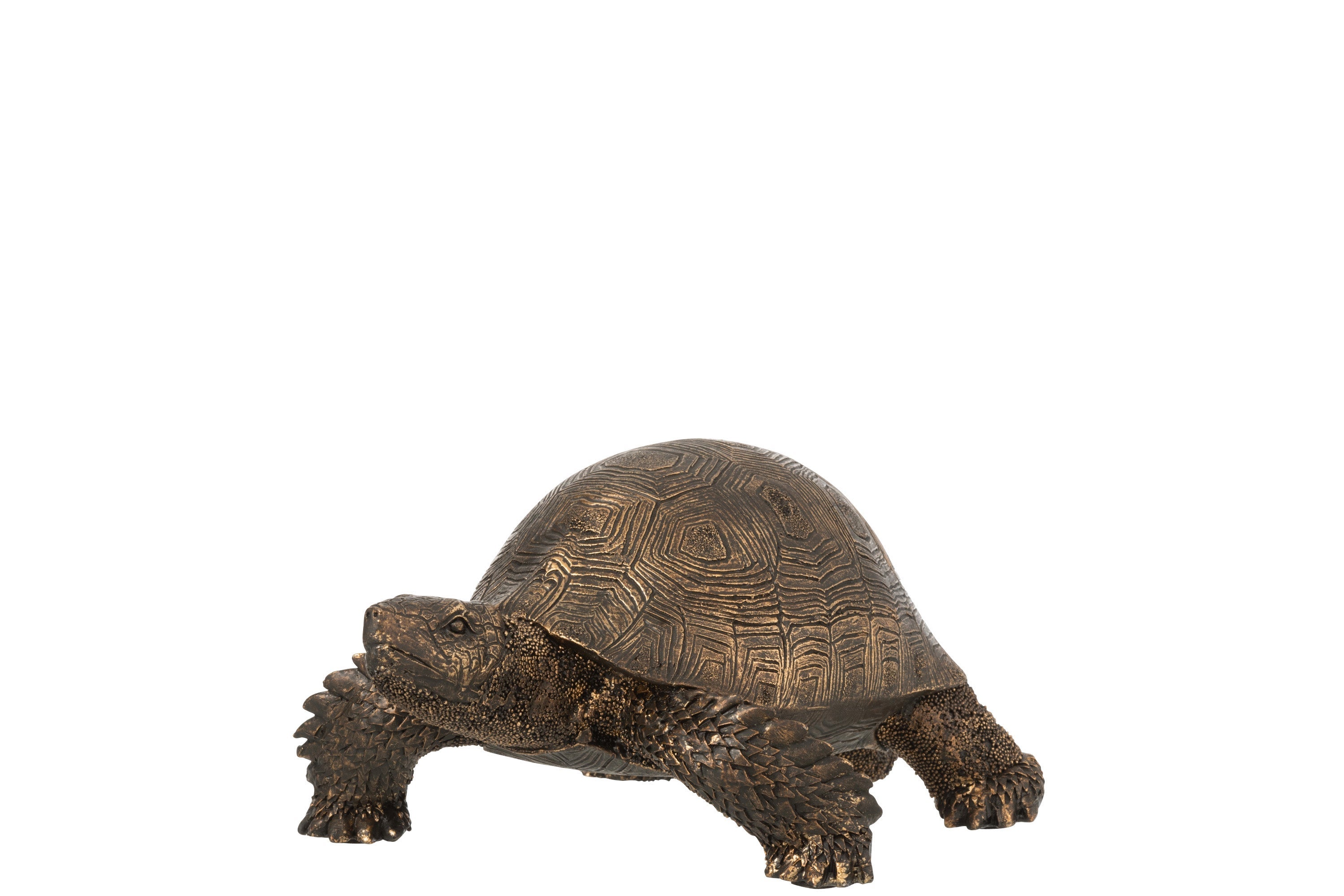 Tortue résine bronze h. 13 cm Leroy Merlin