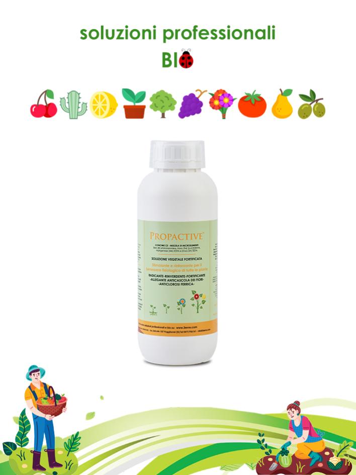 Bio-Slow 3.6.9 Concime Biologico Per Bonsai - 2 Kg, Con Fosforo E Potassio Per Autunno - Foto 2