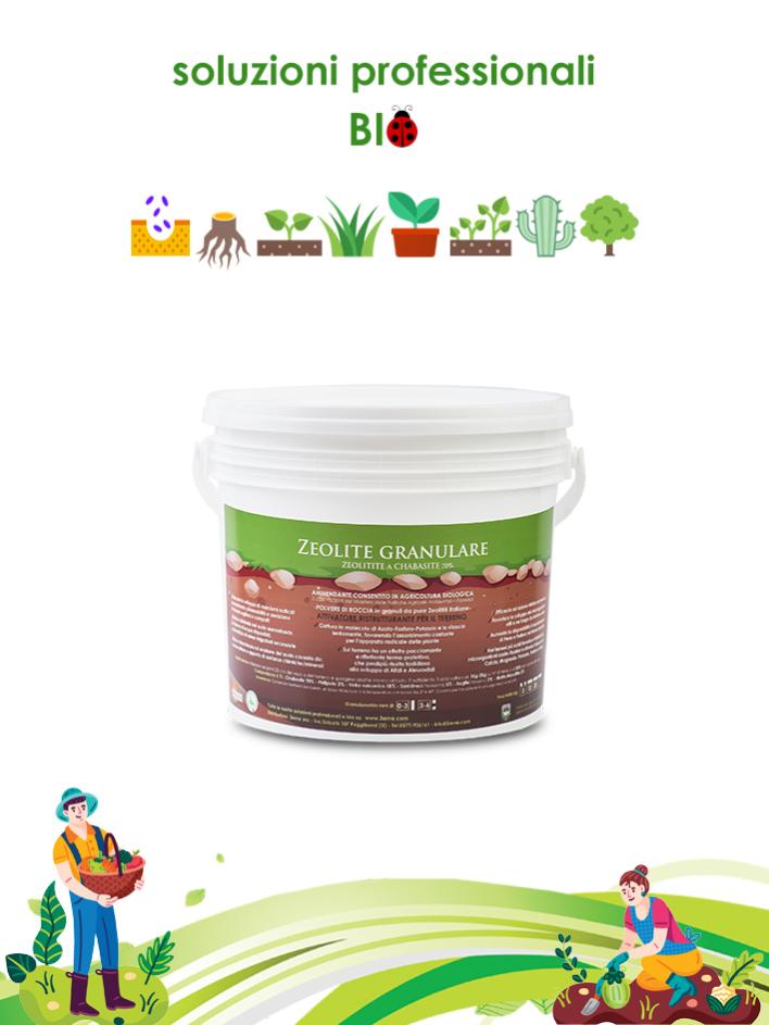 20KG Zeolite Micronizzata 100% Biologica Per PERETO - Foto 10