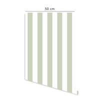 RoomMates RMK2535SCS Pokemon Iconic Peel and Stick Wall Decals RoomMates RMK2535SCS Pokemon Iconic Peel and Stick Wall Decals