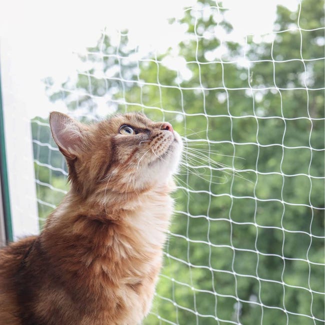Filet de protection fenêtre chat