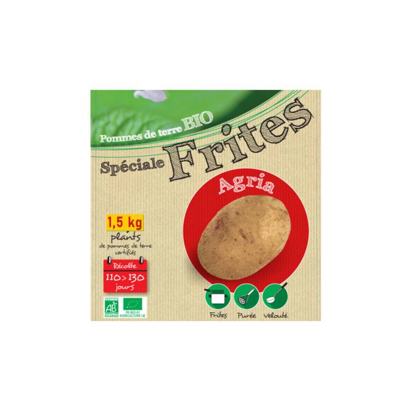 Plant de pommes de terre Agria 1,5 kg Leroy Merlin Plant de pommes de terre Agria 1,5 kg Leroy Merlin
