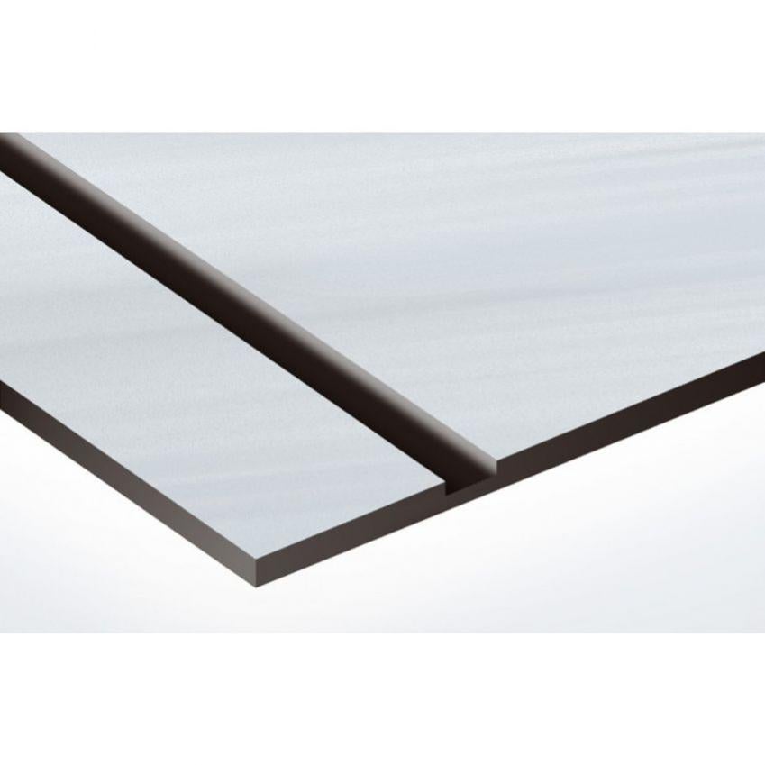 Plaque De Porte WC Auto-adhésive - Inscription Gris Argenté - Plastique 14x8 Cm - Fabriqué En Allemagne