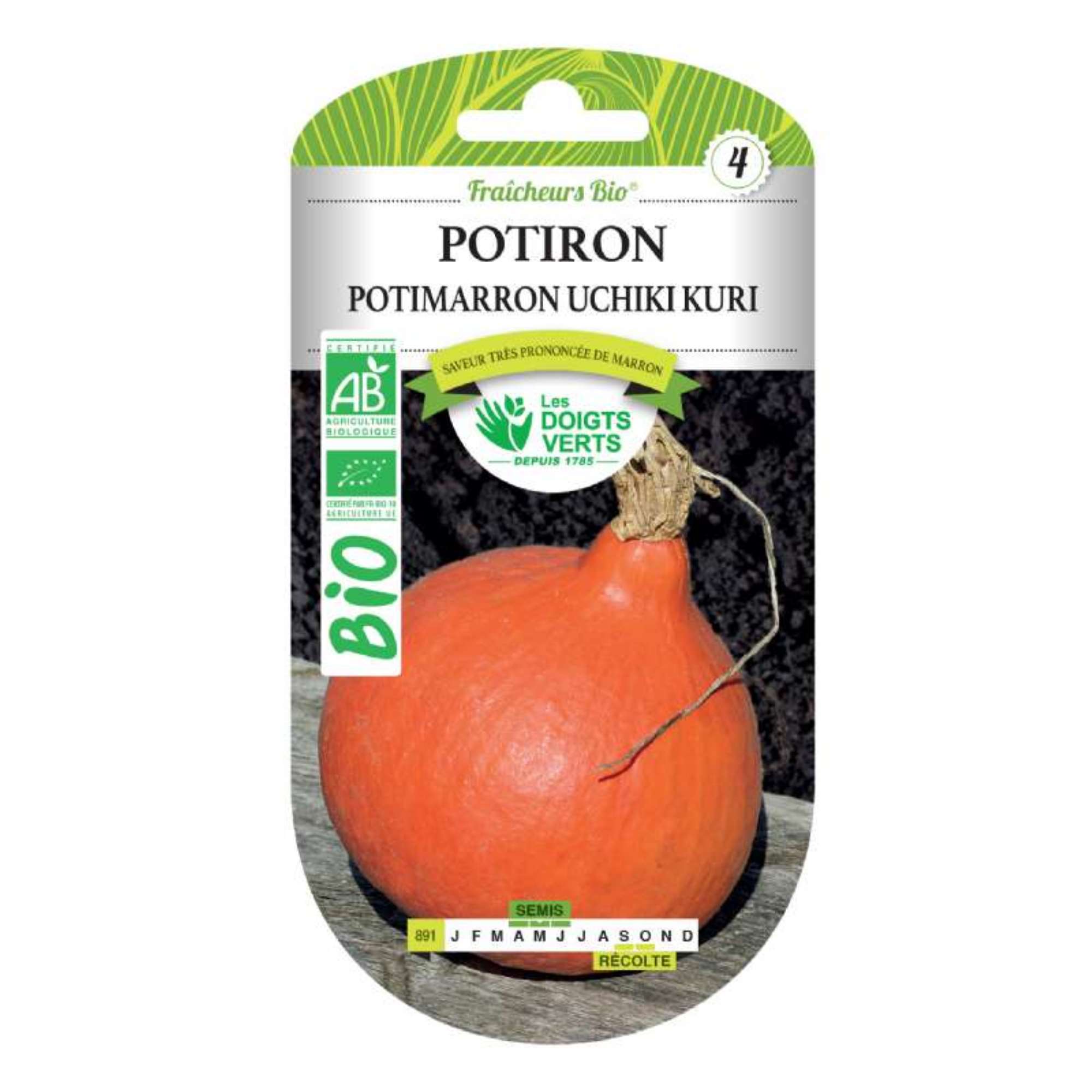 Graines potiron potimarron Uchiki Kuri BIO Les Doigts Verts Leroy Merlin