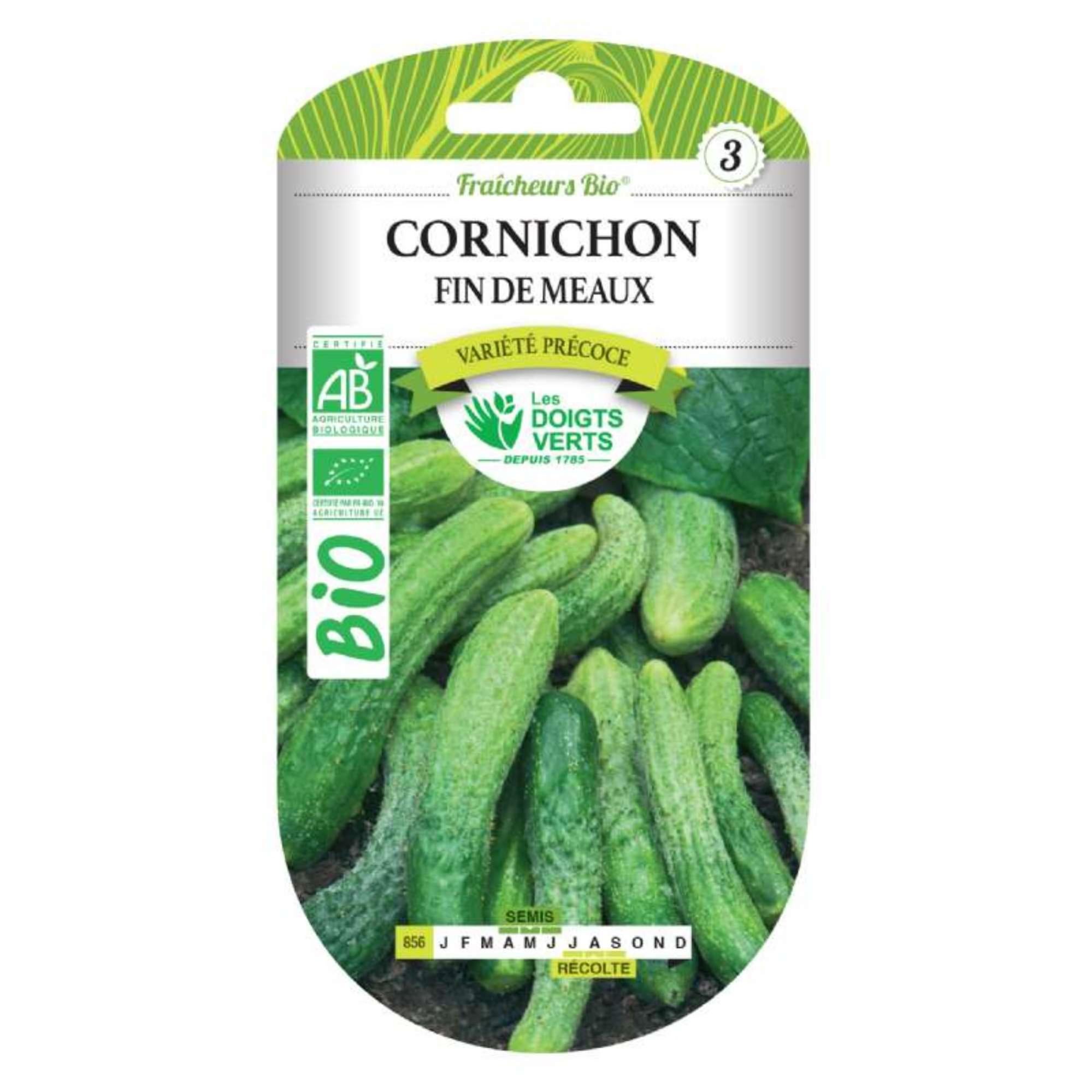 Graines cornichon fin de Meaux BIO Les Doigts Verts Leroy Merlin