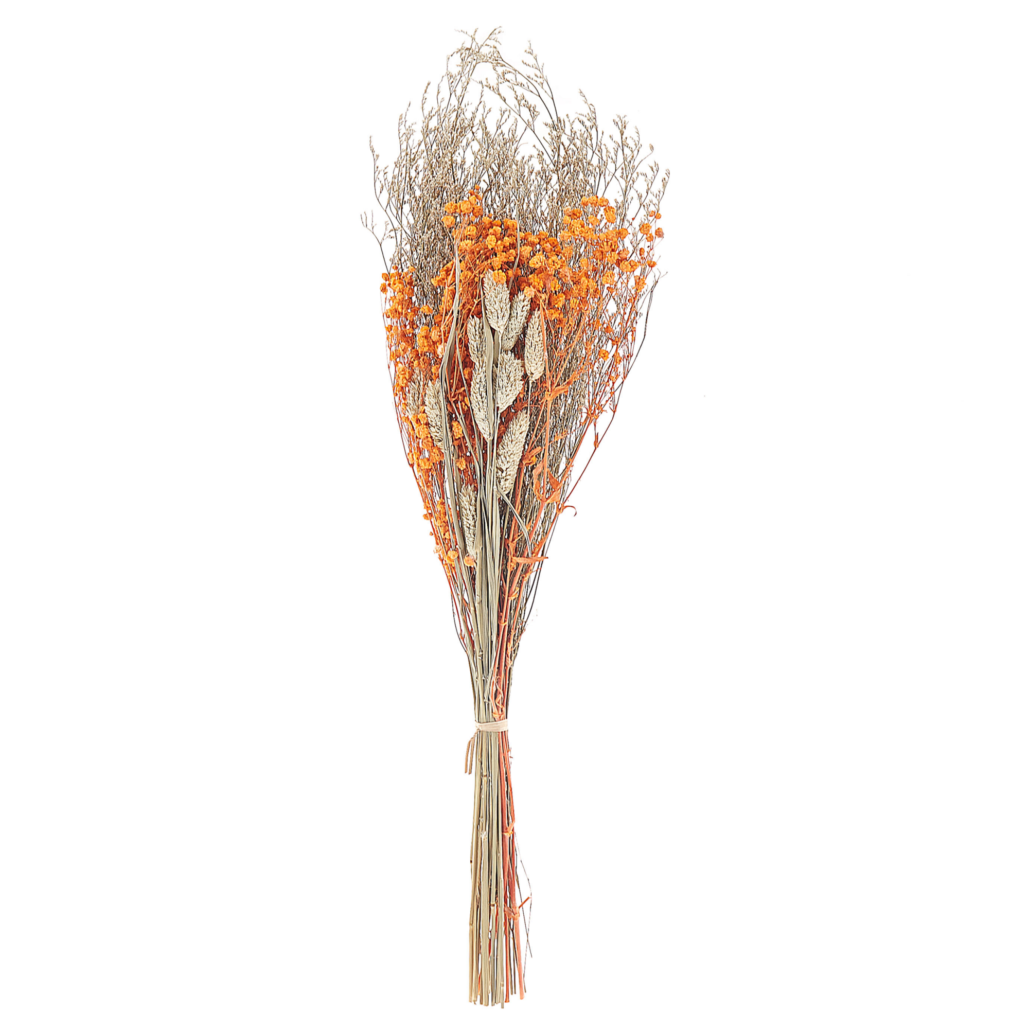 Mazzo fiori secchi rosa 50 cm ZAMORA | Leroy Merlin