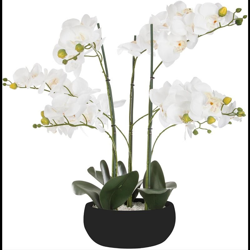 Orchidées Artificielles - Donnez Vie à Votre Décor