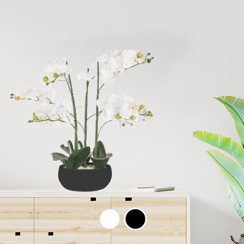 Orchidée artificielle Pot en céramique Noir H 61.5 cm - Fleurs et plantes  artificielles - Décomania