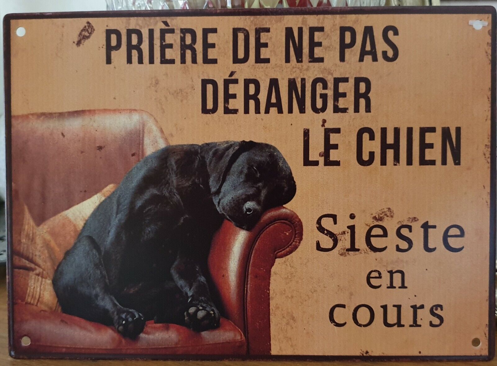Plaque "priere de ne pas deranger le chien...."15*21 cm Leroy Merlin