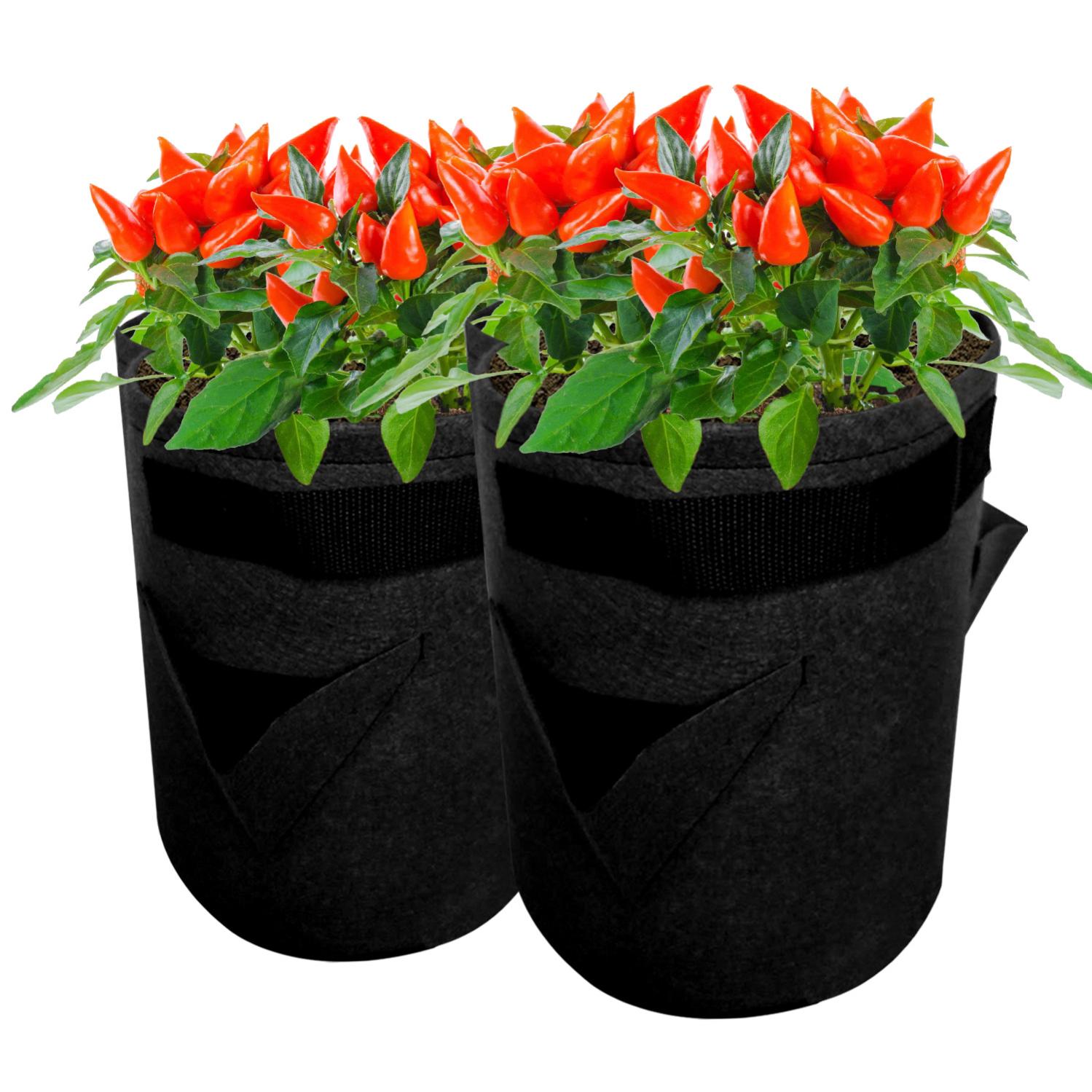 Gioielli Impermeabili In Acciaio Inossidabile 14k Placcato Oro 6mm Bracciali A C