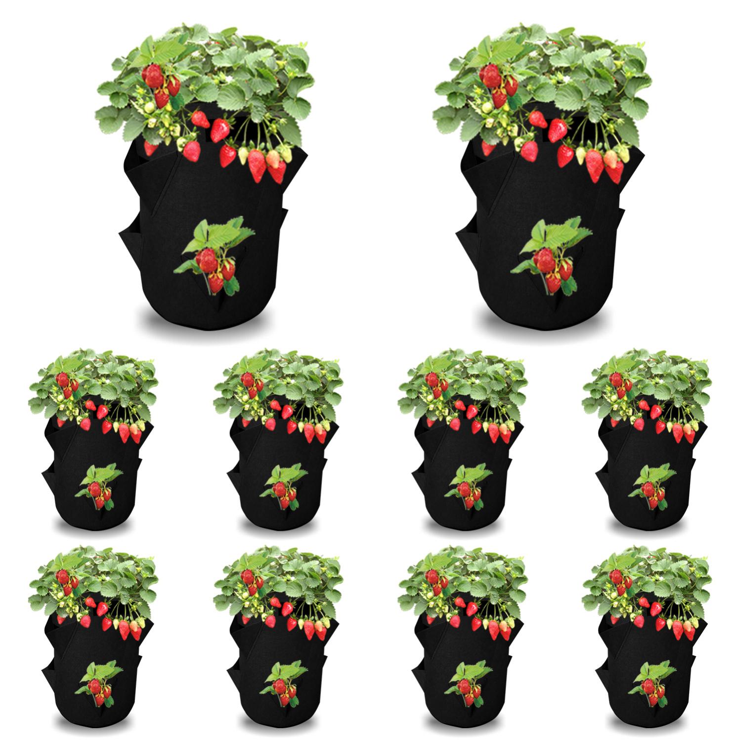 Chariot à Plantes Réglable Avec Roulettes - Diamètre 38 à 50,8 Cm - Charge Max 200 Kg - Pour Intérieur/extérieur - Blanc