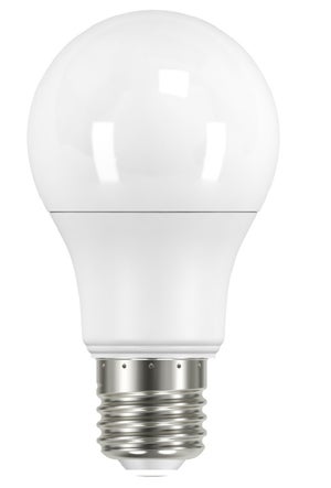 Ampoule E27 100W Calotte Argentée Incandescente