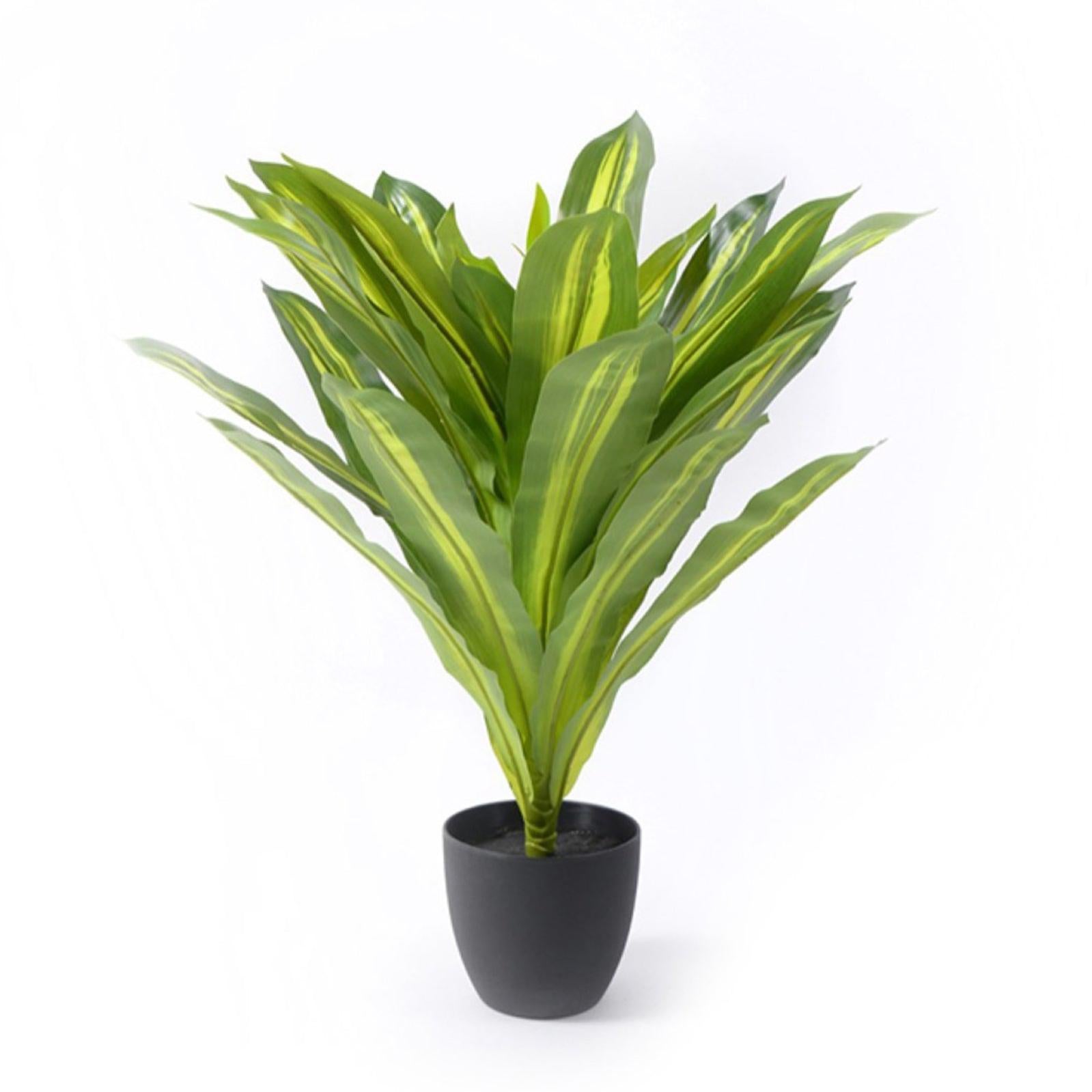 Vaso Origin Anthracite 24cm DEROMA | Bricomarché - Foto 8