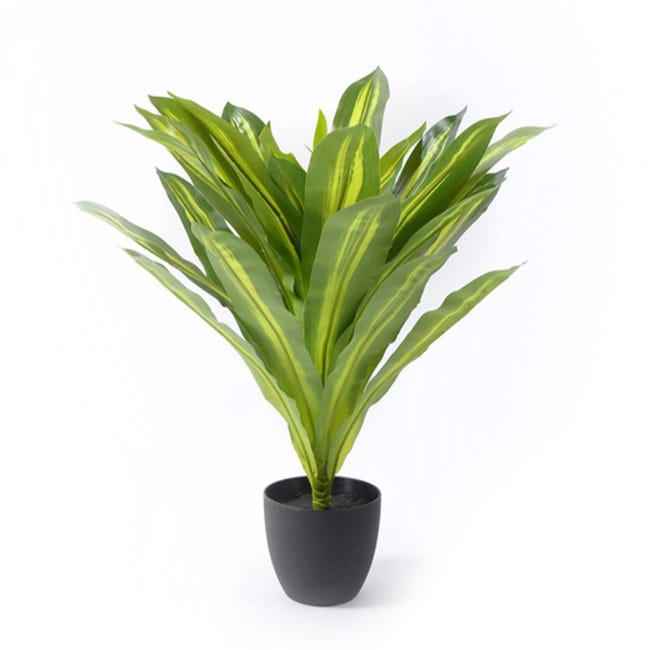 Vaso Origin Anthracite 24cm DEROMA | Bricomarché - Foto 8