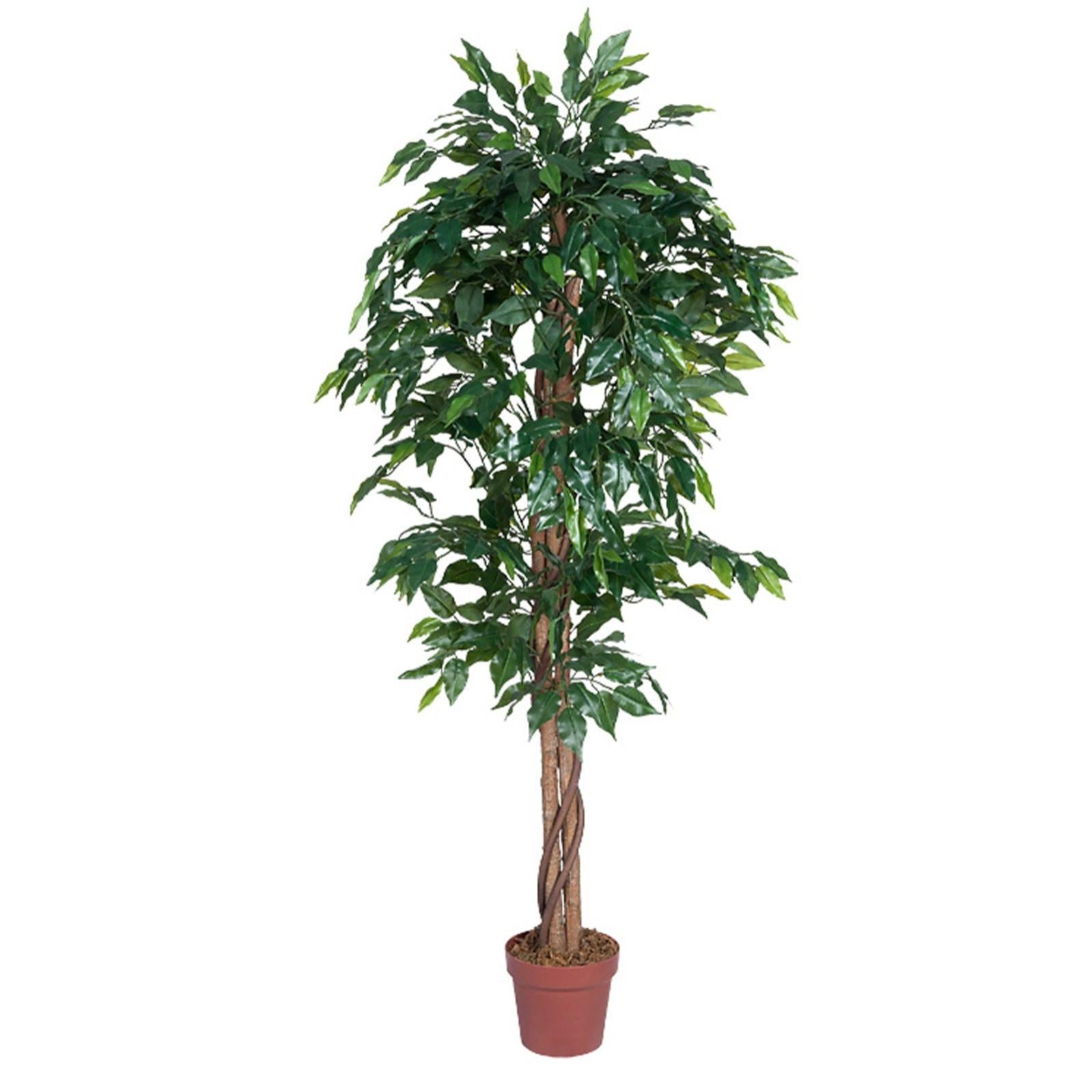 Pianta di Ficus Umbellata Artificiale - Eleganza Permanente