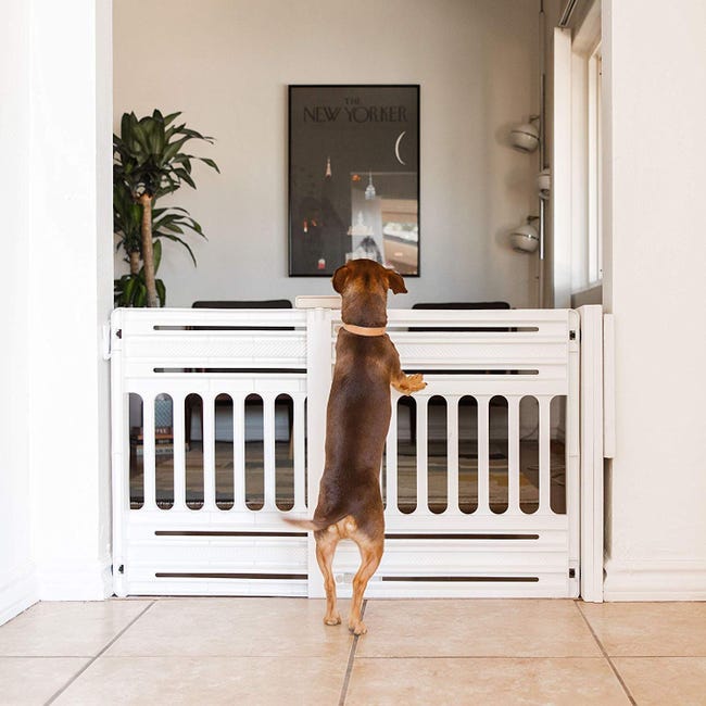 Barrière escalier chien – Espace-animalerie