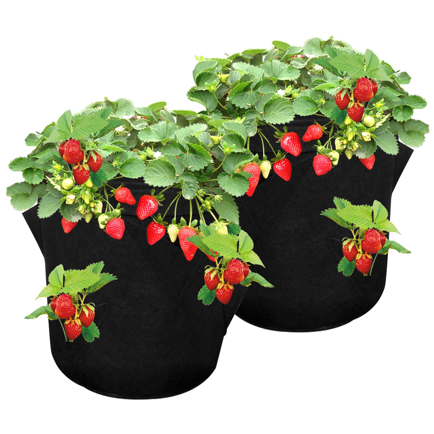 2x sac de plantes accessoires de plantes sac de plantes sac de