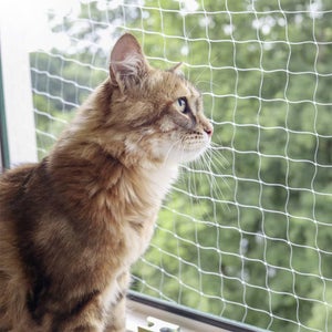 Filet de protection pour chats, pour balcon, renforcé par un fil en acier,  8 x 3 m, vert olive