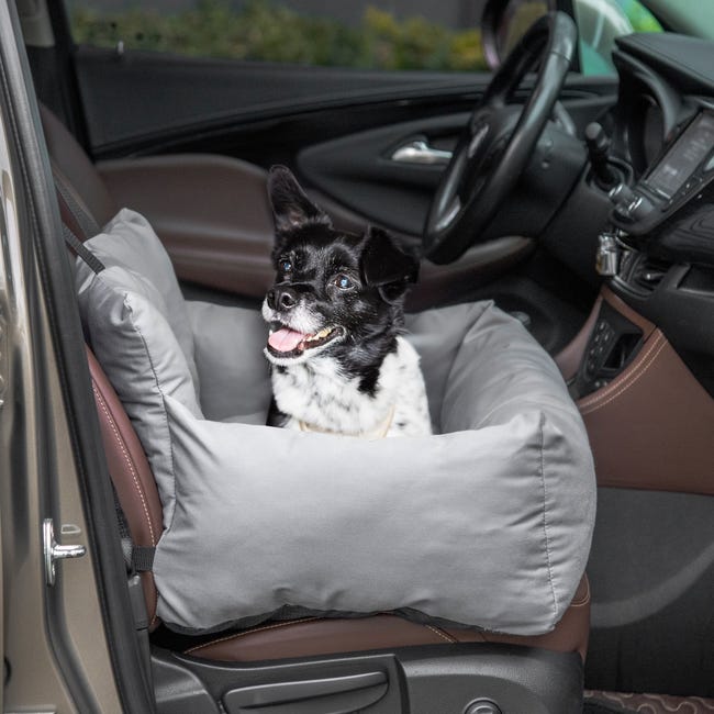 Protégez vos sièges auto de vos chiens