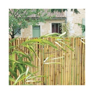Canisse bambous ronds 1 x 2 m, 90% occultant