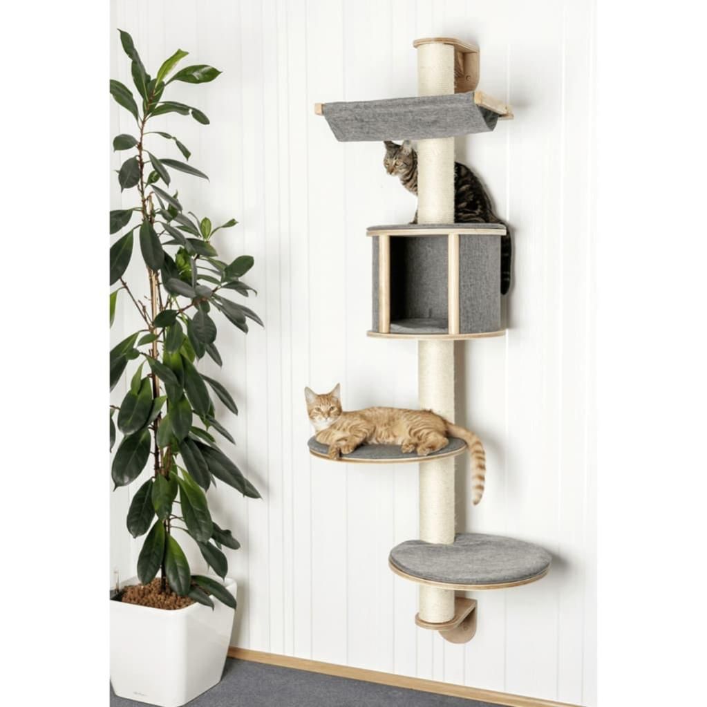 Arbol gato discount pared