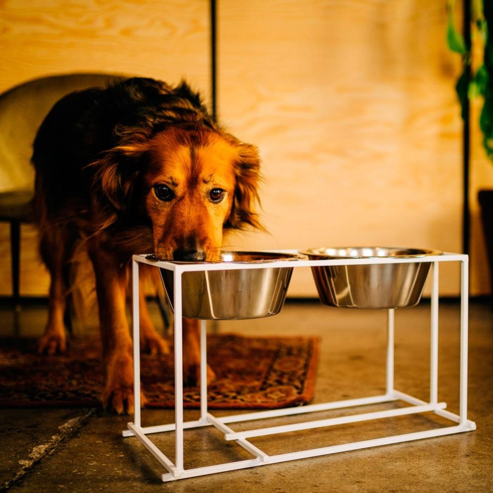 Distributeur de croquettes à trappe basculante chien 20 kg • Gamelles