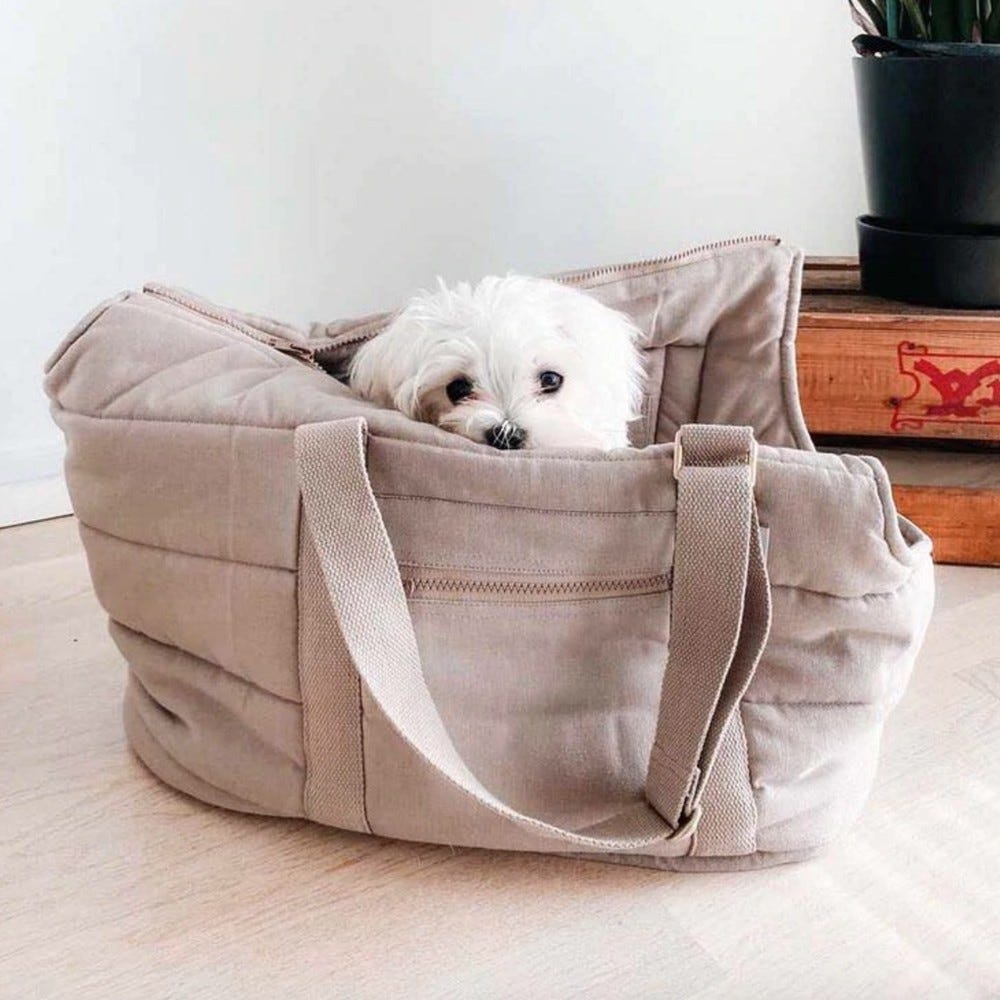 Sac de transport Shopper de Luxe. Sac à dos pour chien, sac transport chien  : Morin, caisse, cage et sac transport chiens
