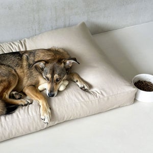Panier chien XXL imperméable 140x105 cm coussin chien - Ciel & terre
