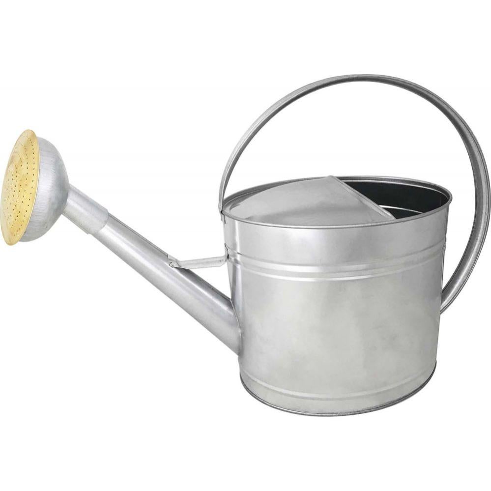 Queen.Y Mini Annaffiatoio In Acciaio Inox – Beccuccio Lungo 300ml Per Bonsai E Piante Grasse