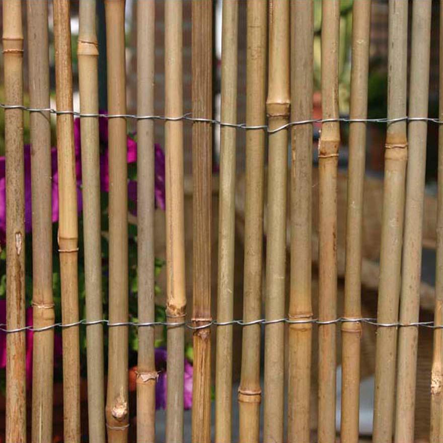 Arella Frangivista da Giardino in Bamboo 1,5x3m Rama Canes Naturale
