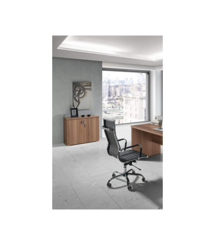 Aparador despacho u oficina 2 puertas 3 colores 75,5 cm(alto)90 cm(ancho)43 cm(largo)