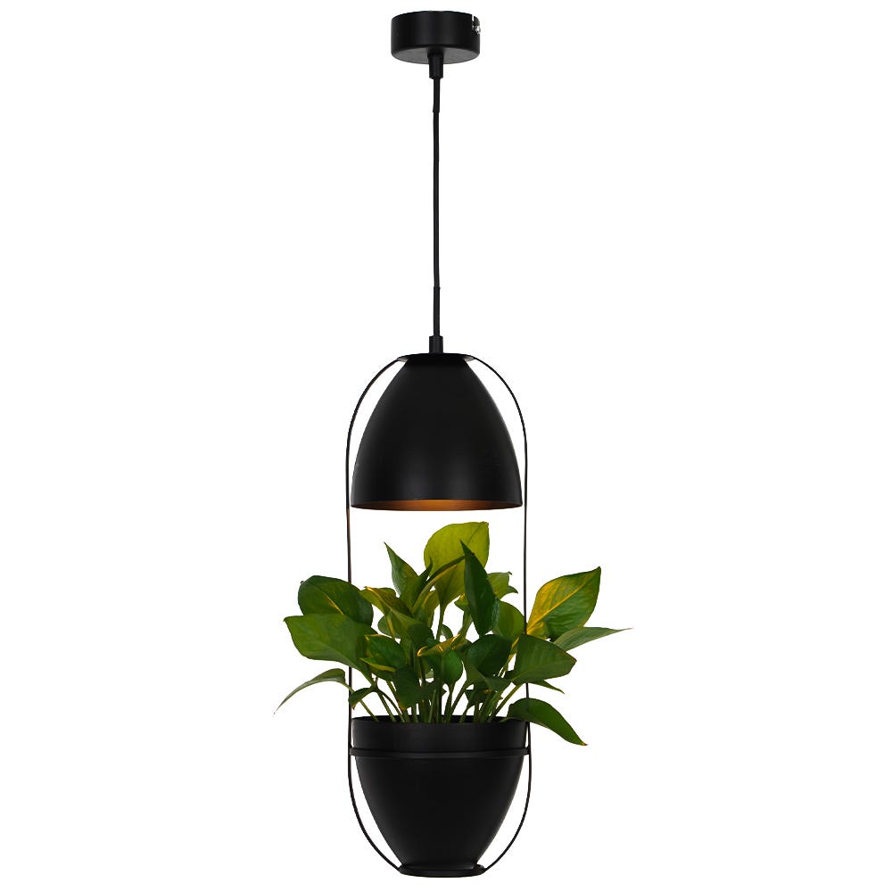 Lampe de plafond suspension porte plante décoratif suspendu métal noir  compatible LED