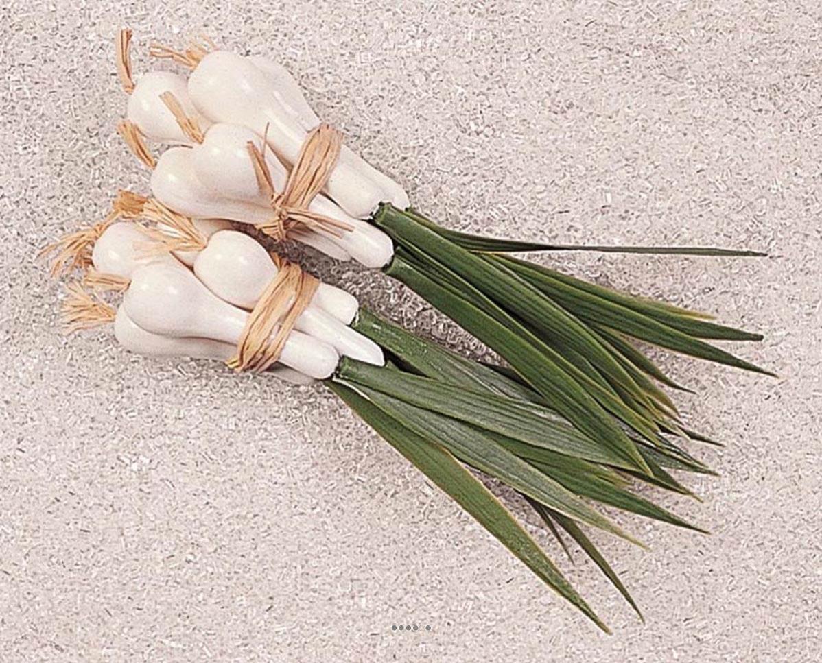 Oignon grelots en botte en lot de 2 en Plastique soufflé L 200x15 mm Leroy Merlin