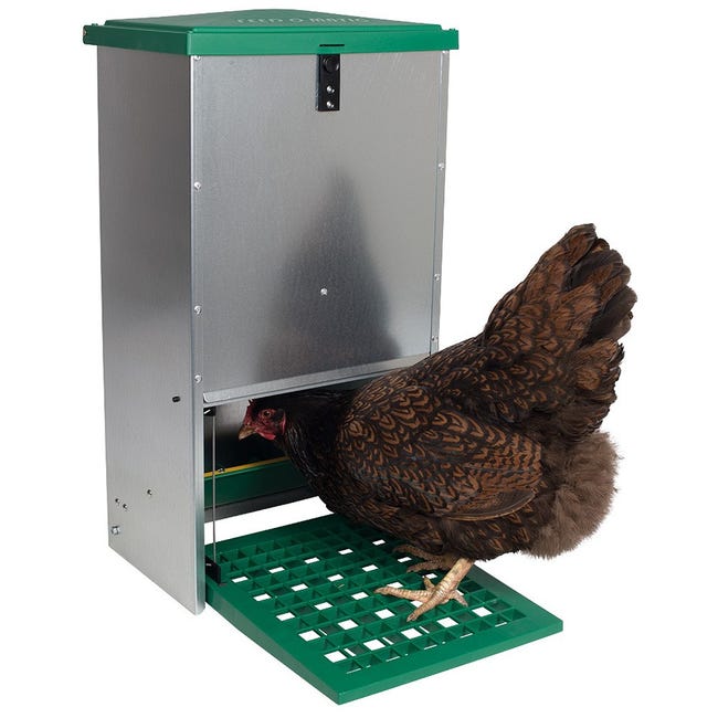 Mangeoire pour poules automatique & réglable | Anti-nuisibles | 20kg