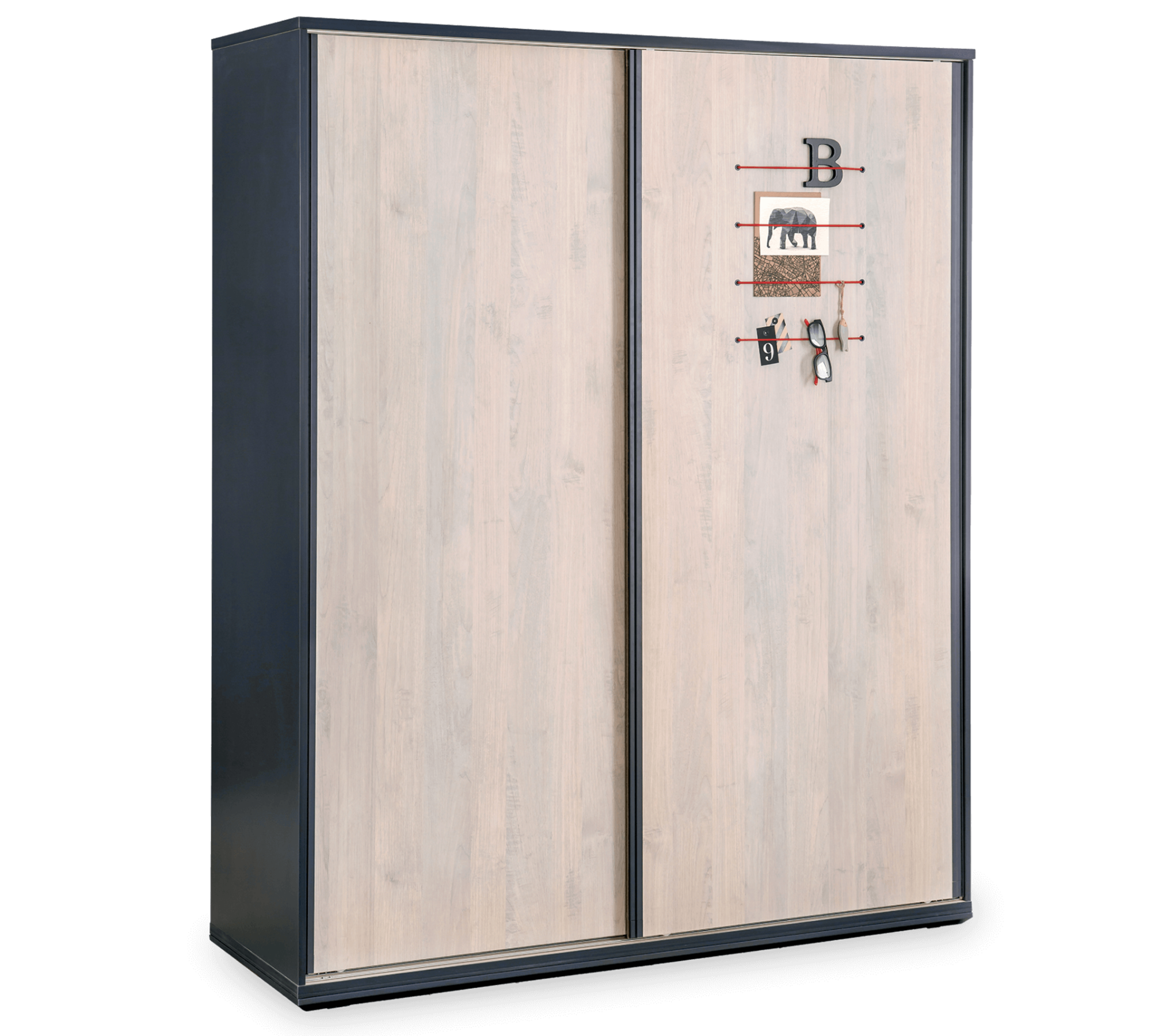Armoire coulissante Trio Leroy Merlin