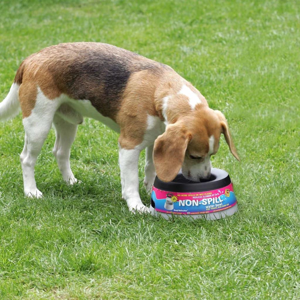 Ciotola Per Cani Mason Cash In Gres Grigio – 21 Cm, Antipunta E Lavabile In Lavastoviglie