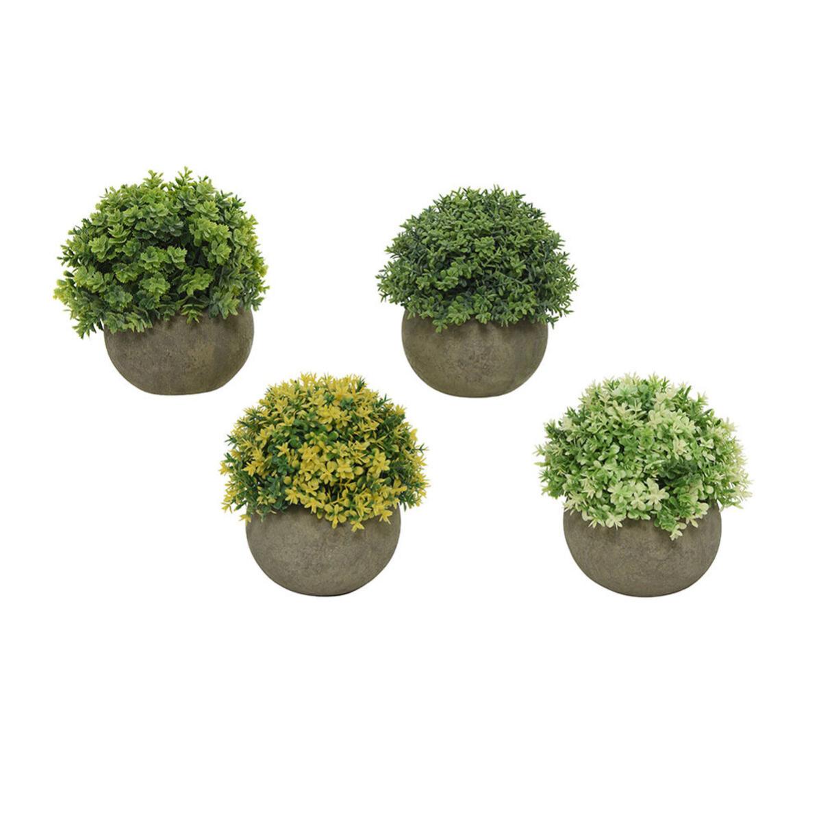 Planta Decorativa Everlands Ø 12 cm Maceta Plástico Leroy Merlin