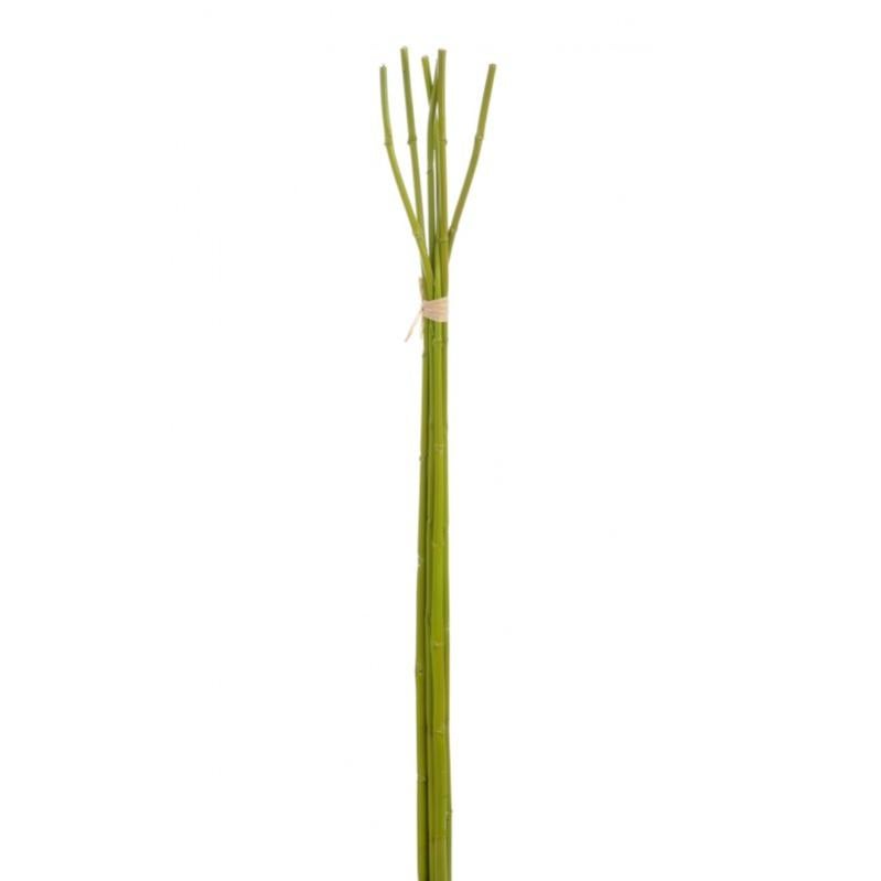 Lot de 100 bambous verts pour décoration d'intérieur, paysage miniature, projet de paysage