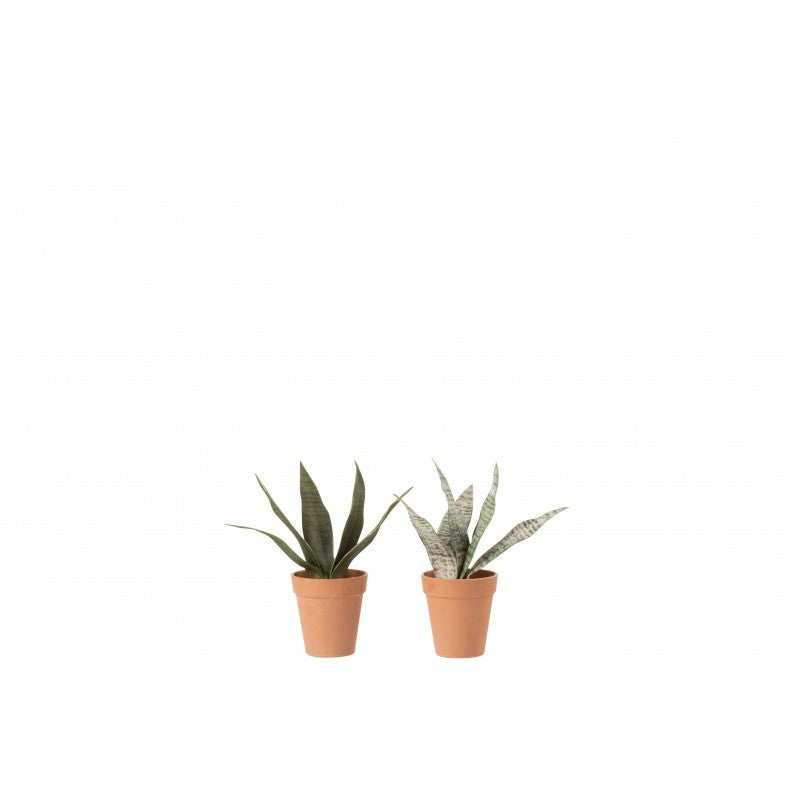 Set De Plantes Artificielles En Plastique Vert X X Cm Leroy Merlin