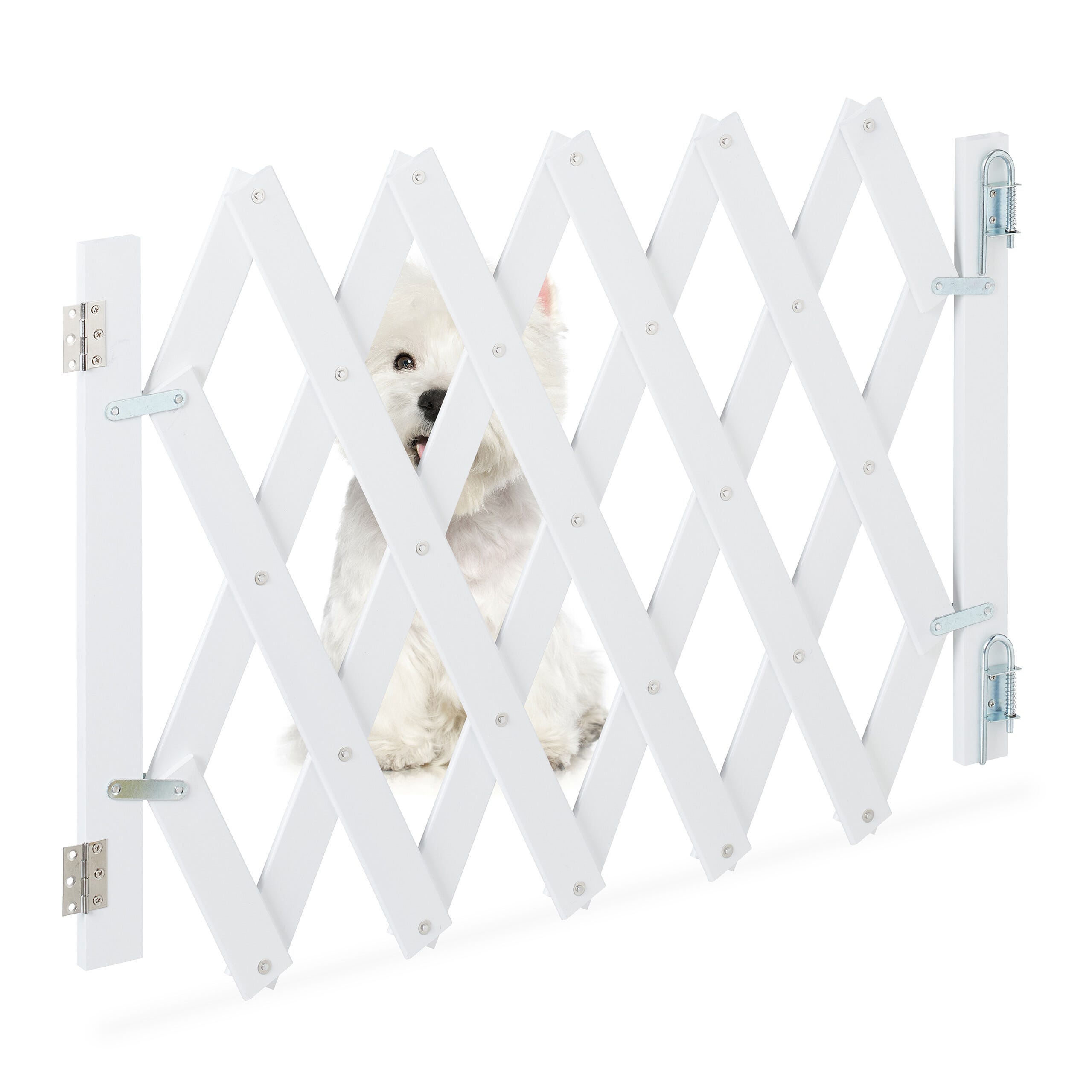 Relaxdays Barrière pour chien, de Protection pour portes et escalier, en  ciseaux extensible jusqu'à 116,5 cm, 82,5cm h