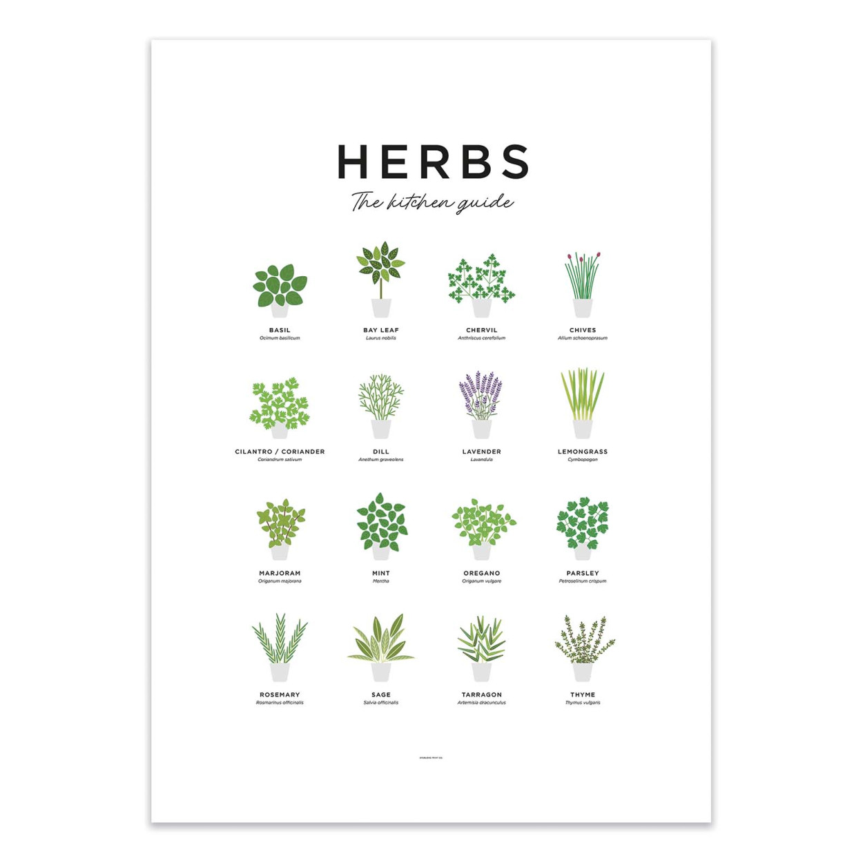 ArtPoster Herbs guide Everlong Print Co 30 x 40 cm Leroy Merlin