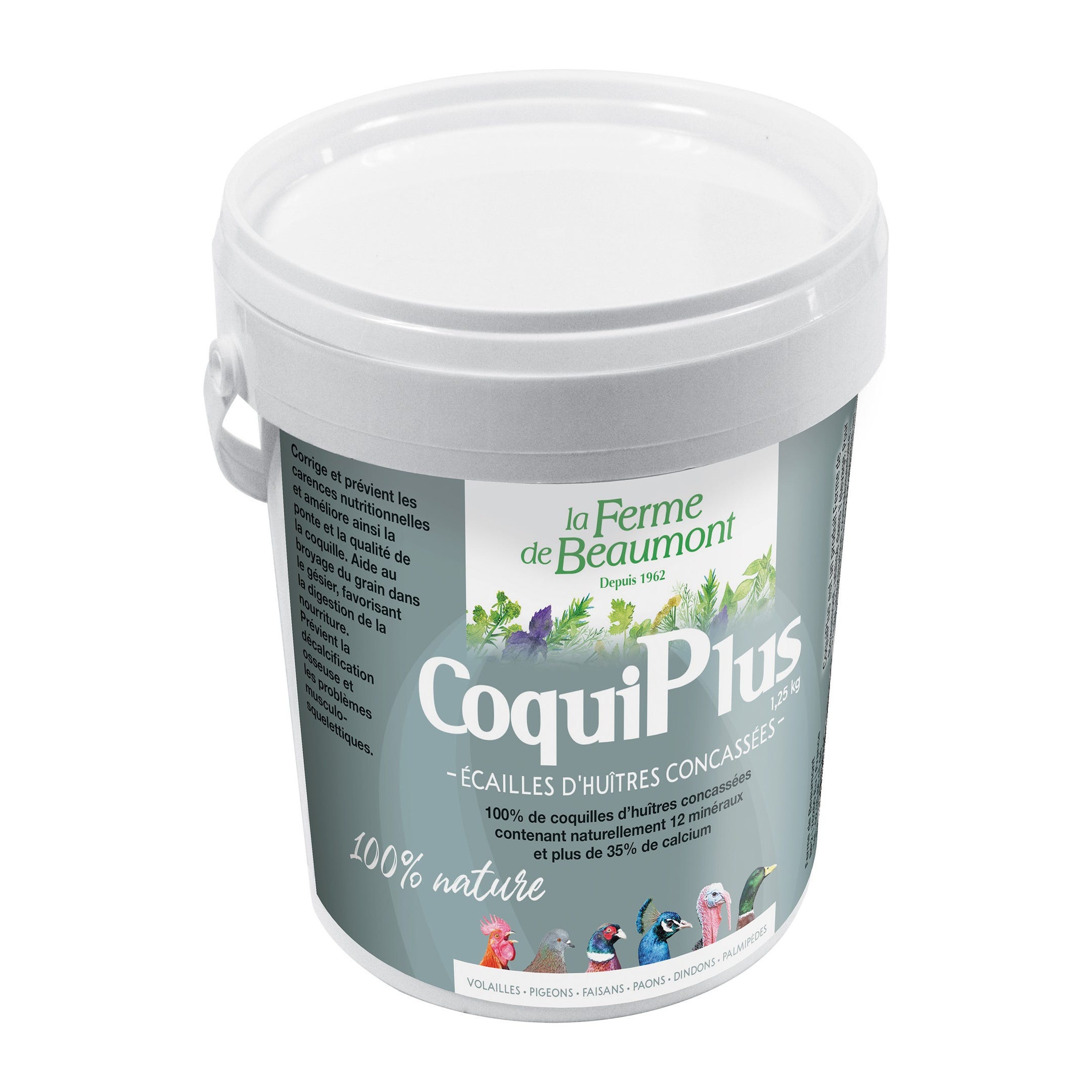 CoquiPlus Ferme de Beaumont 1,25 kg • Coquilles d'huîtres concassées pour  poules • Apport en calcium naturel pour renforcer les oeufs
