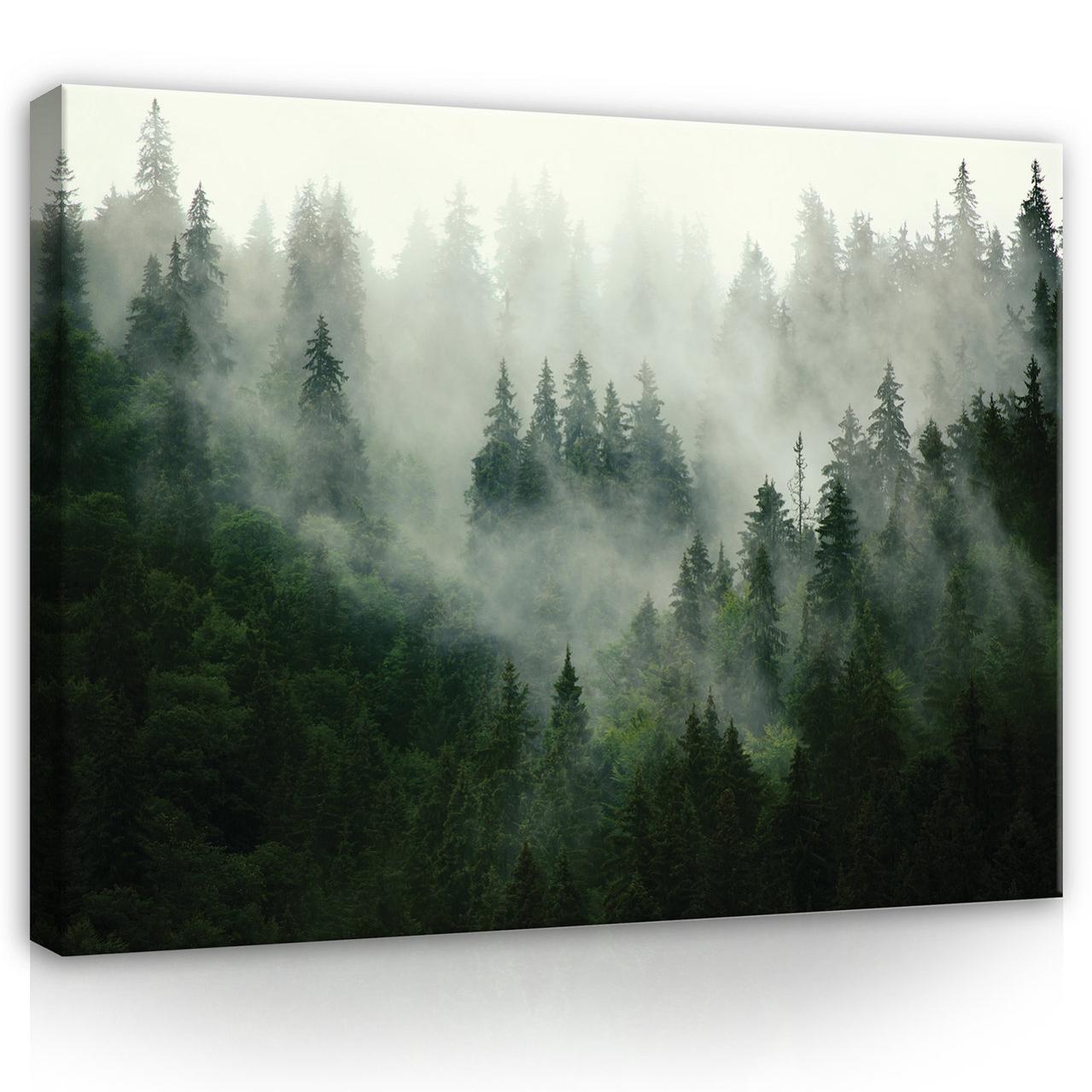 Quadro Su Tela, Lupo Nella Nebbia Foresta Natura - 120x80 - Foto 9