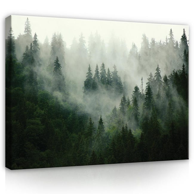 Quadro Su Tela, Lupo Nella Nebbia Foresta Natura - 120x80 - Foto 9