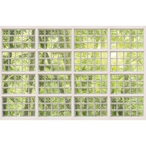 Sticker Porte Trompe-l'œil Pomme Verte – Dimensions 83 X 204 Cm (2 Panneaux) – PVC Imperméable, Amovible – Effet 3D Réaliste – Pour Salon, Chambre, Décoration Murale